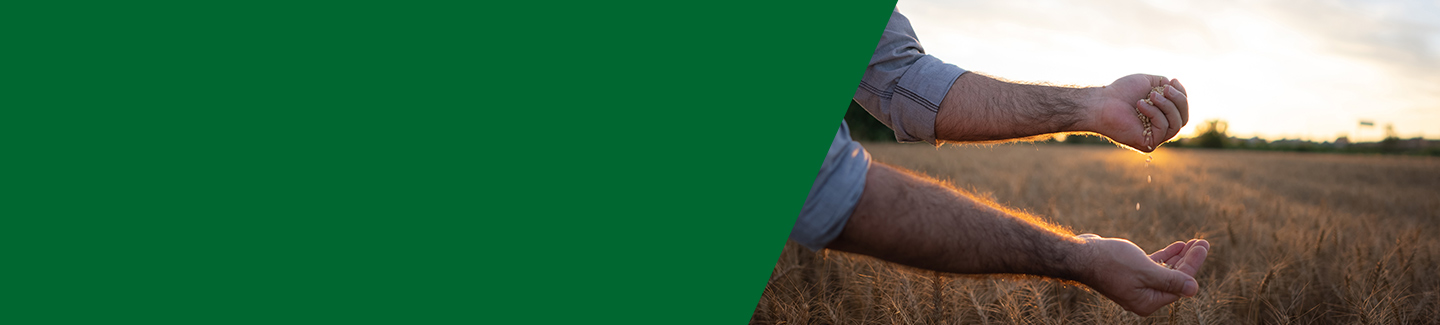 Santander Agronegocios