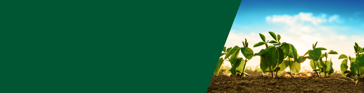 Fondo Agro