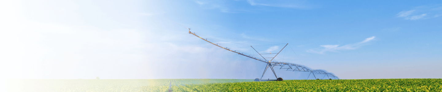Seguros Agro