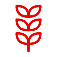 Icono planta