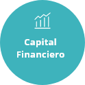 icono capital Financiero